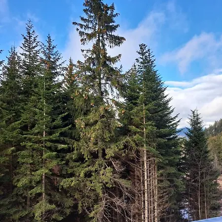 Apartment La Foresta Lux Jahorina